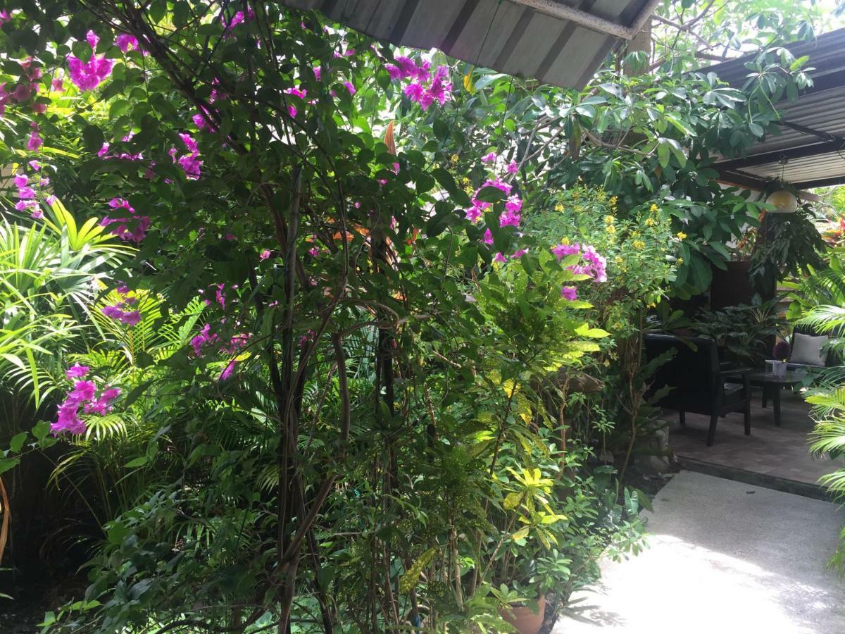 Lemon House Samui Hotel Bãi biển Bãi biển Mae Nam Ngoại thất bức ảnh